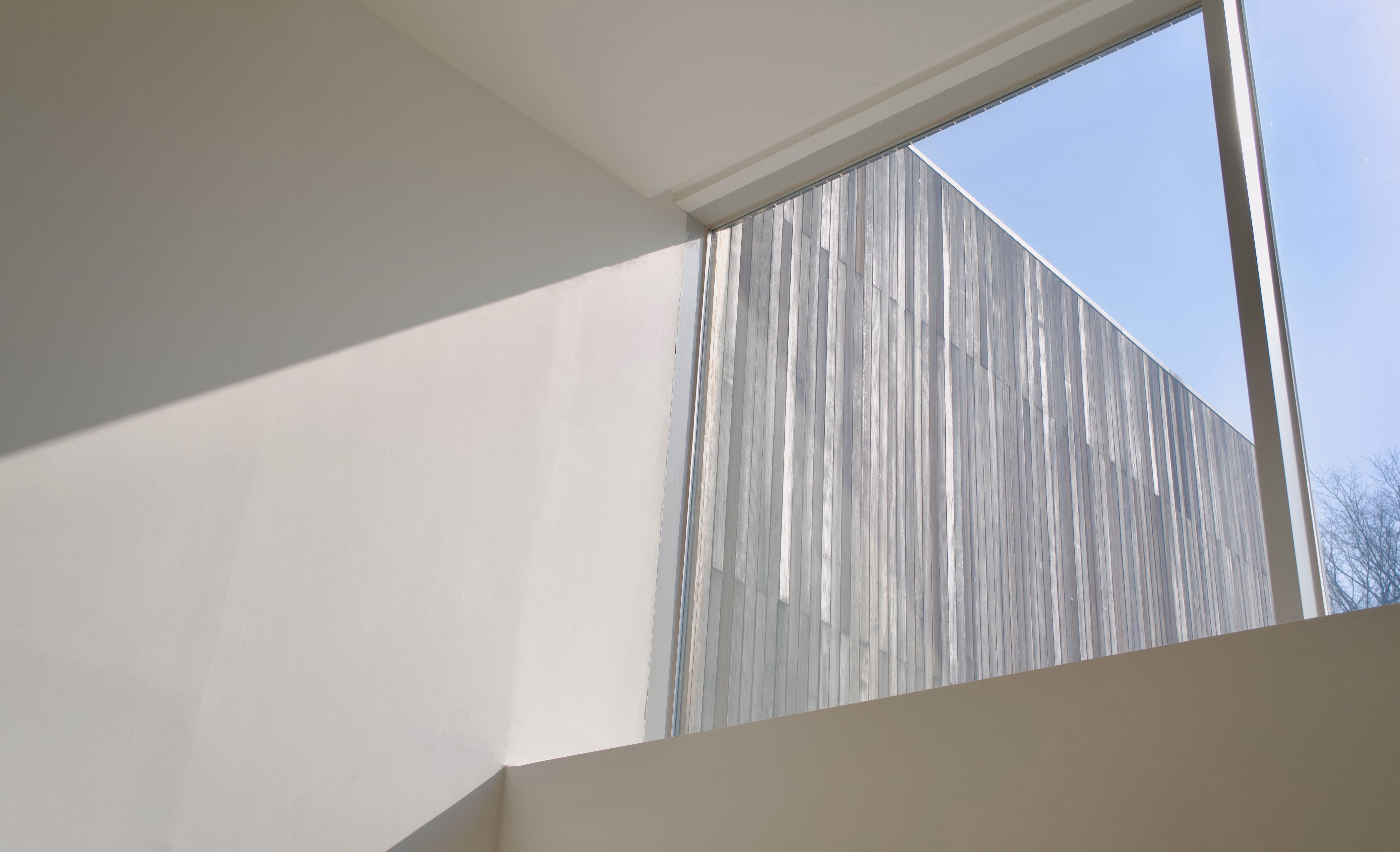 사울 레이터 : 창문을 통해 어렴풋이 cover image